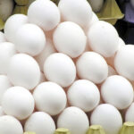 تولید تخم مرغ در سروستان افزایش یافت