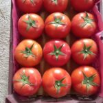 صادرات گوجه فرنگی گلخانه ای در زرین دشت