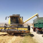 برداشت جو از مزارع شهرستان فسا آغاز شد