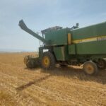 آغاز برداشت گندم در شهرستان ممسنی