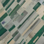 تثبیت مالکیت بیش از25 هزار هکتار اراضی کشاورزی در شهرستان اقلید