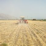 برای اولین بار؛ کشت مستقیم ذرت در شهرستان کازرون