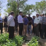 روز انتقال یافته های حبوبات در اقلید