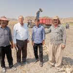 بازدید علی دهقانیان از مزارع چغندرقند مراسخون سفلی