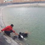 مالکین استخرهای کشاورزی نسبت به ایمن‌سازی آنها اقدام کنند