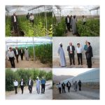 بازدید فرماندار بوانات از سایت گلخانه‌ای: گامی مؤثر برای توسعه کشاورزی مدرن