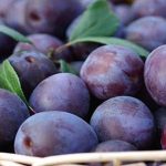 درآمد 55 میلیارد ریالی باغداران بیضایی از فروش آلو