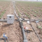 برای اولین بار؛ اجرای طرح آبیاری هوشمند در مزارع شهرستان کازرون