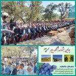 مدیر جهاد کشاورزی شهرستان ممسنی از برگزاری اولین جشنواره انگور دیم ممسنی در این شهرستان خبر داد