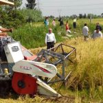 رستم شمالی برای فارس در جنوب گرماخیز ایران