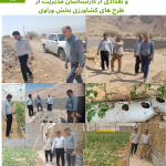 گزارش بازدید سرپرست مدیریت جهاد کشاورزی شهرستان مهراز تعدادی طرح‌های کشاورزی واقع در بخش وراوی