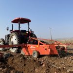 آغاز برداشت پیاز از مزارع شهرستان سپیدان