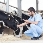 تشکیل کار گروه پیشگیری و مقابله با تب برفکی در سرچهان