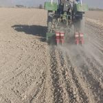 شروع کشت کلزا در شهرستان مرودشت