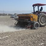 آغاز کشت کلزا در شهرستان زرین دشت