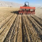 آغاز کشت کلزا در هزار و 100 هکتار از مزارع فیروزآباد