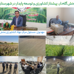 بخش گله‌دار، پیشتاز کشاورزی و توسعه پایدار در شهرستان مهر