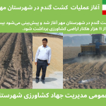 آغاز عملیات کشت دانه های طلایی گندم در کشتزاراهای شهرستان مهر