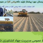 شهرستان مهر؛ پیشتاز تولید دانه‌های روغنی در جنوب فارس