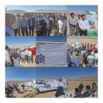 برگزاری نهمین کاروان ترویج بهره وری ویژه الگوی کشت ملی محصولات زراعی