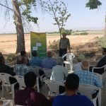 تلفیق دانش و تجربه با برگزاری دهها کارگاه آموزشی و ترویجی در آبان ماه، اتفاقات خوبی را در افزایش بهره وری درشهرستان مرودشت در پی خواهد داشت.