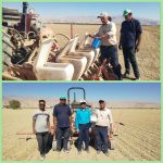 کشت چغندرقند پاییزه در شهرستان فسا ادامه دارد