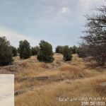 بازدید نظارتی از اراضی ملی واگذاری شهرستان کازرون