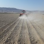 آغاز کشت گندم در شهرستان زرین دشت