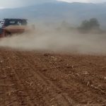  گندم و جو در مسیر پایداری تولید غذا