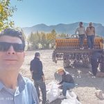 اجرای طرح انتخاب مشارکتی ارقام درگندم (pvs)