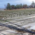 کشاورزان هشدار سیل را جدی بگیرند!