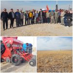 اجرای پایلوت کشاورزی حفاظتی در شهرستان مرودشت