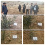 رصد میدانی طرح‌های باغبانی و گلخانه‌ای مرودشت؛ توسعه، حمایت و افزایش بهره‌وری در اولویت