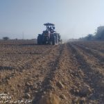 اجرای طرح انتخاب مشارکتی ارقام گندم  ( pvs , pdt)