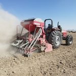 پیش‌بینی کشت 28 هزار هکتار غلات پاییزه در بیضا