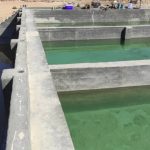 نخستین مزرعه پرورش ماهی فیروزآباد به بهره برداری رسید