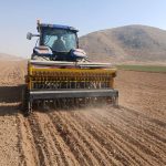 پایان عملیات کشت شتوی در شهرستان زرقان