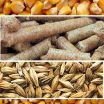 حمایت جهاد کشاورزی از تولیدکنندگان در طرح اصلاح نظام یارانه‌ای