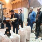 رستم همواره بوی نان و زندگی می دهد