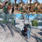 استفاده از دستگاه خردکن سرشاخه نخیلات و مرکبات در باغات قیروکارزین