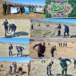 هشتمین مرحله پویش بذرکاری توام با برگزاری کارگاه آموزشی جنگلکاری مشارکتی