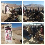 طرح بسیج سازندگی برای مبارزه با آفت انار در ارسنجان برگزار شد