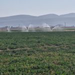 اجرای طرح ۳۱هکتاری آبیاری تحت فشار در شهرستان ارسنجان