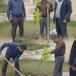 کاشت نهال توسط مدیر جهاد کشاورزی شهرستان قیروکارزین به مناسبت هفته درختکاری