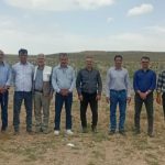 گام بلند جهاد کشاورزی سروستان برای تغییر الگوی کشت؛ نقشه‌راه توسعه زراعت «آنغوزه» ترسیم شد