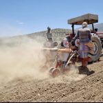 تحقیق و ترویج در خدمت تولید: اجرای طرح بذرمال باکتریایی در مزارع لوبیای اقلید