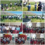 برگزاری کارگاه آموزشی «تغذیه در گندم» به‌صورت روز مزرعه در روستای وکیل‌آباد شهرستان پاسارگاد