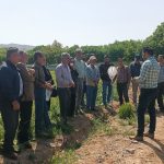 برگزاری کارگاه آموزشی مرحله داشت (مبارزه با آفات ، بیماریها و مدیریت علفهای هرز) در گندم