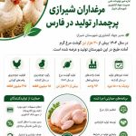 اینفوگراف تولید مرغ در سال 1404