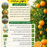 مدیریت تنش گرمایی در باغهای مرکبات